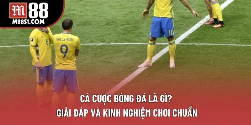 Cá Cược Bóng Đá: Tổng Hợp Những Hình Thức Thú Vị 2025