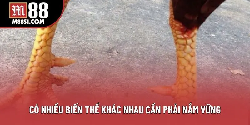 Có nhiều biến thể khác nhau cần phải nắm vững