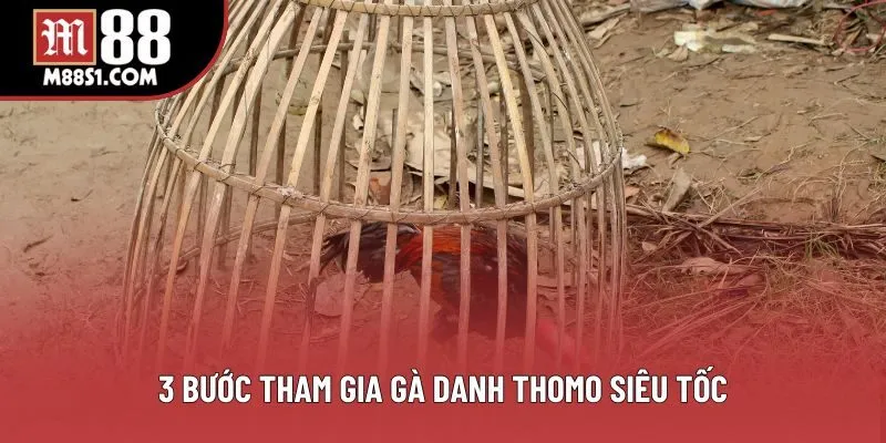 3 bước tham gia gà danh thomo siêu tốc