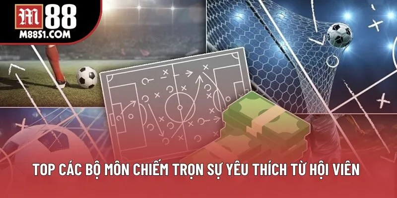 Top các bộ môn chiếm trọn sự yêu thích từ hội viên Top các bộ môn chiếm trọn sự yêu thích từ hội viên